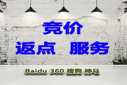 百度平台推广策略及成功案例解析